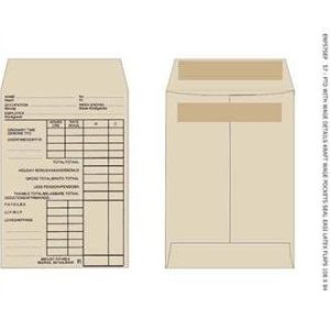 Printed Wage Envelopes (Box 500)