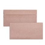 DLB Manilla Envelopes (Box 500)