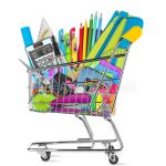 Zulu FAL Grade 8 Bundle