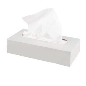 Box Tissues 2 Ply 100's