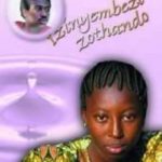 Izinyembezi Zothando Novel