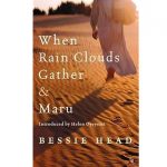 When Rain Clouds Gather Novel