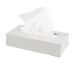 Tissues Box of 200's