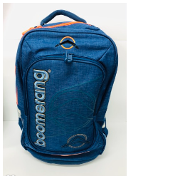 Orthopaedic Large Boomerang Back Pack