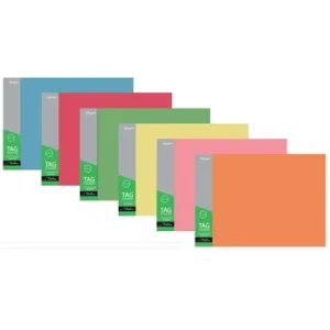 Manilla Folder 180TY