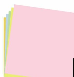 A4 Project Board Pastel 50's