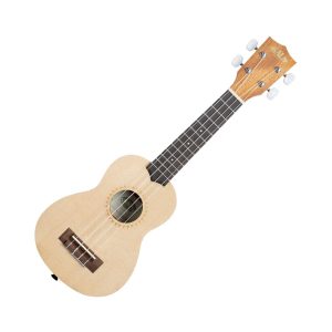 Ukulele-beginners Guitar